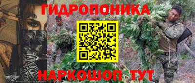 гашик Малоярославец